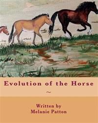 Evolution of the Horse