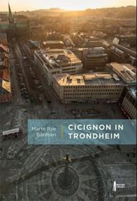Cicignon in Trondheim