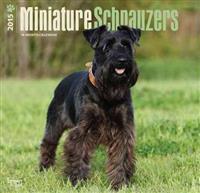 Minature Schnauzers 2015 Calendar
