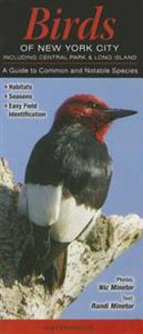 Birds of New York City, Incl. Central Park & Long Island: A Guide to Common & Notable Species