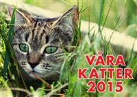 Våra Katter 2015 : Almanacka