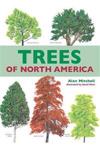 The Trees of North America