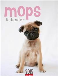 Mops Kalender 2015