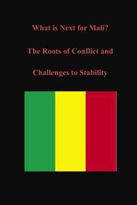 What Is Next for Mali? the Roots of Conflict and Challenges to Stability