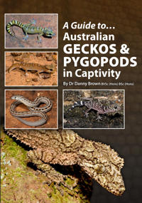A Guide to Australian Geckos & Pygopods in Captivity
