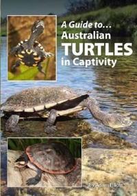 A Guide to Australian Turtles in Captivity