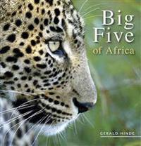 Big Five of Africa