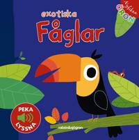 Nyfikna öron - Exotiska fåglar - Peka - Lyssna