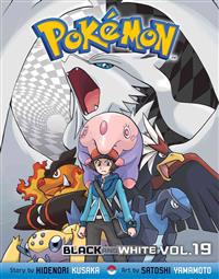 Pokemon Black & White