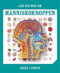Fakta i fokus : Lär dig mer om människokroppen