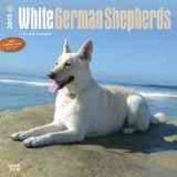 White German Shepherds 2015 18 Month Calendar