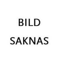 Om kampen att överleva med sinnena i behåll