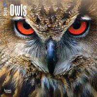 Owls 2015 - Eulen