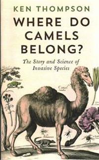 Where Do Camels Belong?