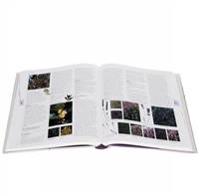 RHS Encyclopedia of Herbs