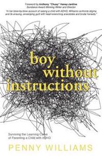 Boy Without Instructions: Surviving the Learning Curve of Parenting a Child with ADHD