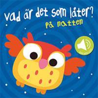 Vad är det som låter? På natten