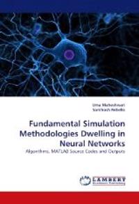 Fundamental Simulation Methodologies Dwelling in Neural Networks