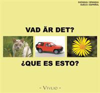 Vad är det? / Que es esto?
