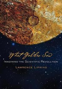 What Galileo Saw