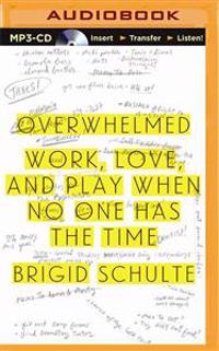 Overwhelmed: Work, Love, and Play When No One Has the Time