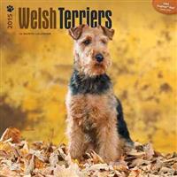 Welsh Terriers 2015 - Welsh Terrier