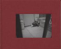 Where the Day Takes You