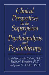 Clinical Perspectives on the Supervision of Psychoanalysis and Psychotherapy