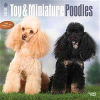Toy and Miniature Poodles 2015 - Toypudel und Zwergpudel