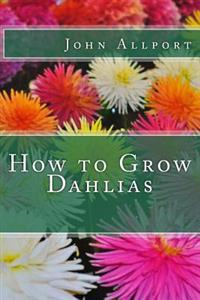 How to Grow Dahlias