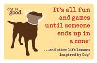 It's All Fun and Games Until Someone Ends Up in a Cone(r): ...and Other Life Lessons Inspired by Dog(r)