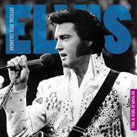 Official Elvis Square 2015