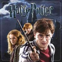 Official Harry Potter Square Wall Calendar 2015
