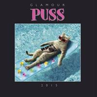 Glamour Puss 2015 Calendar