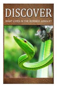 What Lives in the Borneo Jungle? - Discover: Early Reader's Wildlife Photography Book