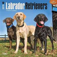 Labrador Retrievers 2015