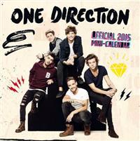 Official One Direction Mini Calendar 2015