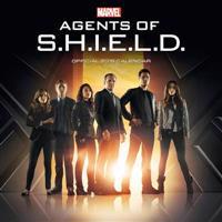 Official Agents of S.H.I.E.L.D (Marvel) Square Wall Calendar 2015