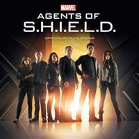 Official Agents of S.H.I.E.L.D (Marvel) Square Wall Calendar 2015