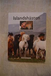 Islandshästen enligt Jóhann Fridgeirsson