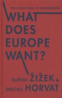 What Does Europe Want?: The Union and Its Discontents