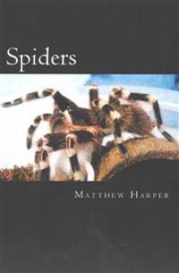 Spiders: A Fascinating Book Containing Spider Facts, Trivia, Images & Memory Recall Quiz: Suitable for Adults & Children
