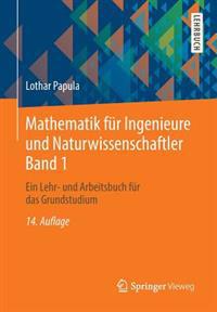 Mathematik Fur Ingenieure Und Naturwissenschaftler Band 1: Ein Lehr- Und Arbeitsbuch Fur Das Grundstudium