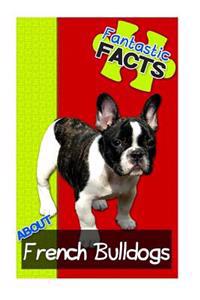 Fantastic Facts about French Bulldogs: Illustrated Fun Learning for Kids