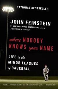 Where Nobody Knows Your Name: Life in the Minor Leagues of Baseball