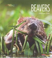 Living Wild: Beavers