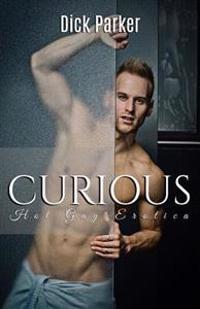 Curious: Hot Gay Erotica