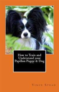 How to Train and Understand Your Papillon Puppy & Dog