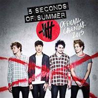 5 Seconds of Summer 2015 Square 12x12