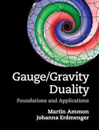 Gauge / Gravity Duality